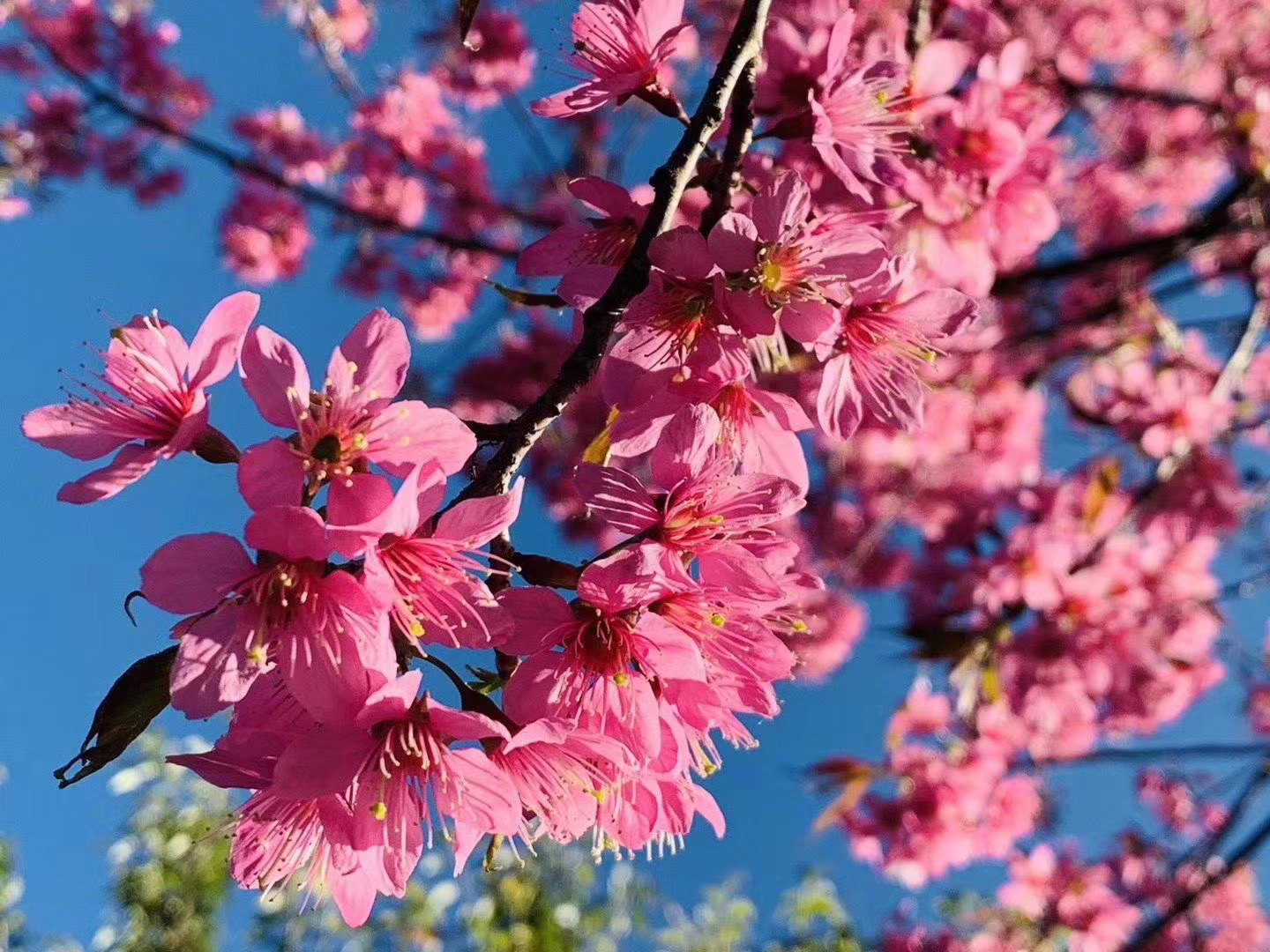 麗江戶外拓展訓練基地