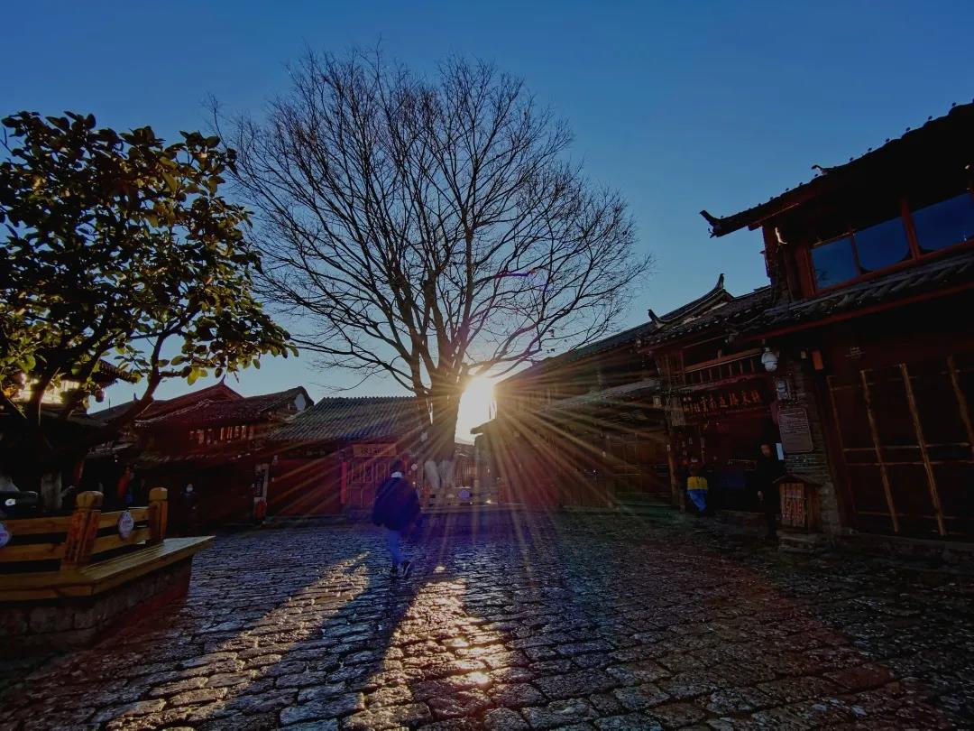 藍(lán)天暖陽，古巷冬花，它當(dāng)屬滇西北最安逸的日光之城！