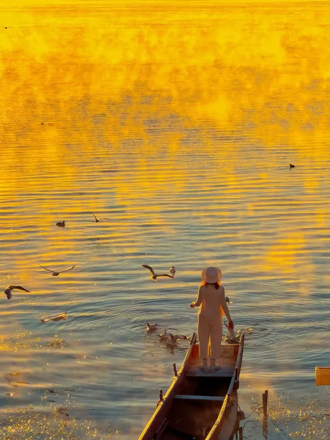 云南旅游,云南旅行社,云南團(tuán)建公司,云南策劃公司,云南會(huì)議會(huì)展,云南旅游地接,麗江旅游,麗江旅行社,麗江團(tuán)建公司,麗江策劃公司,麗江會(huì)議會(huì)展,麗江策劃執(zhí)行：大實(shí)話(huà)！秋天的瀘沽湖才是人間理想…