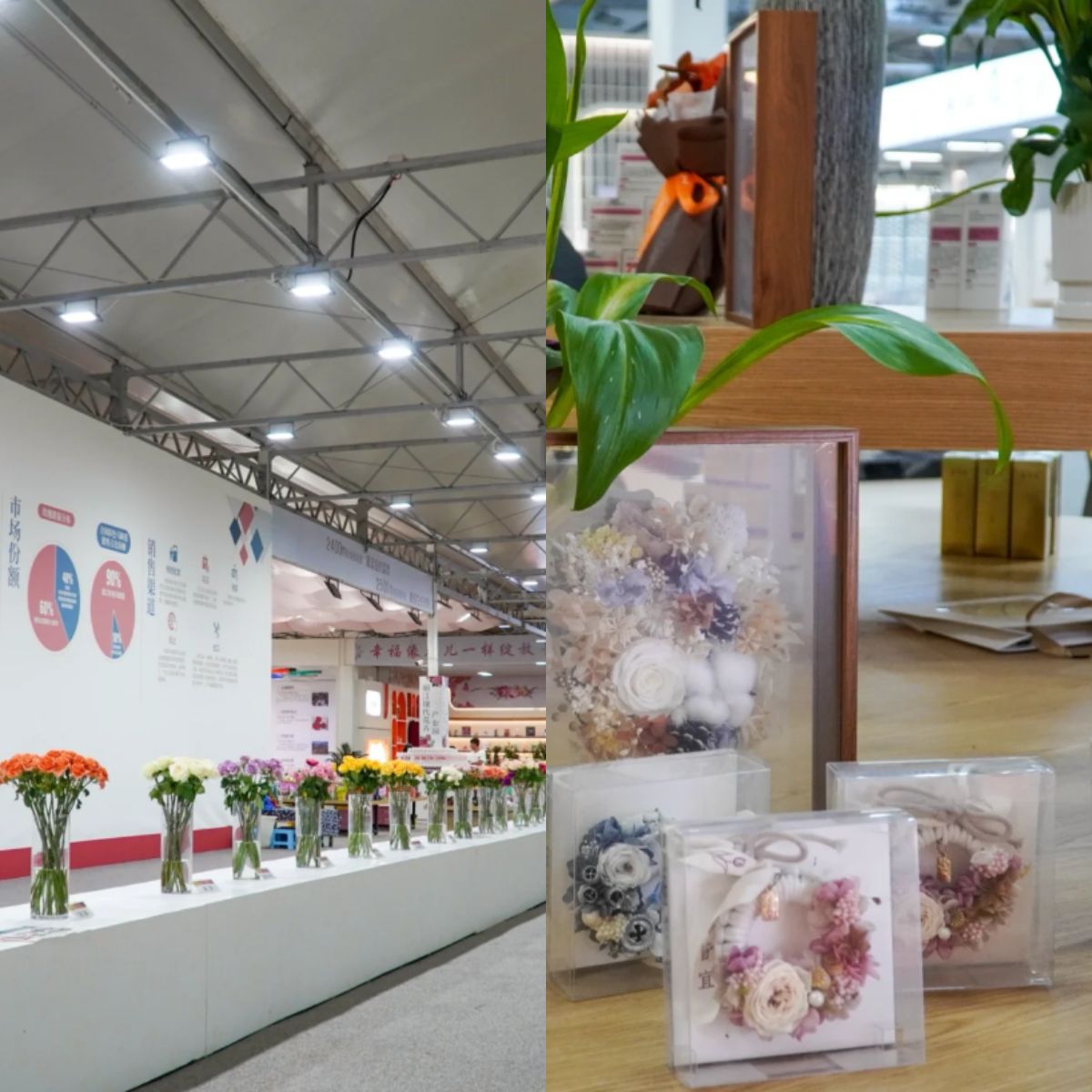 云南旅游,云南旅行社,云南團(tuán)建公司,云南策劃公司,云南會(huì)議會(huì)展,麗江旅行社,麗江團(tuán)建公司,麗江策劃公司,麗江會(huì)議會(huì)展,麗江策劃執(zhí)行：走進(jìn)“麗江de花”，與“中國(guó)最好的玫瑰”’共赴一場(chǎng)浪漫至極